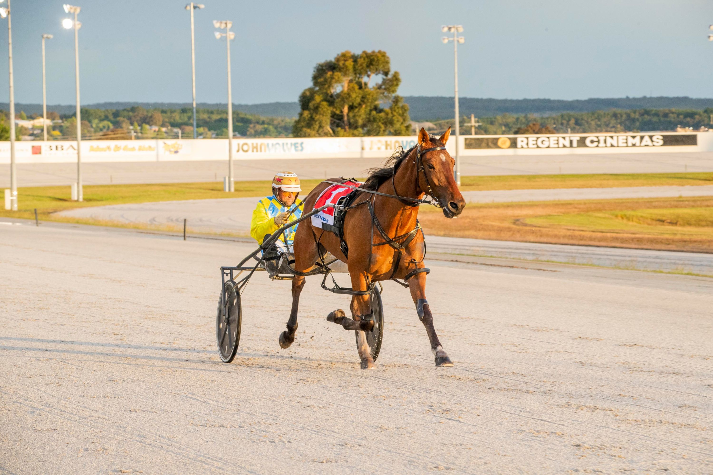 Three horses scratched from ID22 after opening round of heats Harness